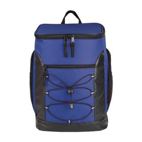 Backpack Cooler Thermo Bag Lunch Bento Ice Pack Outdoor Picnic (Type: Picnic Backpack, Color: Blue)